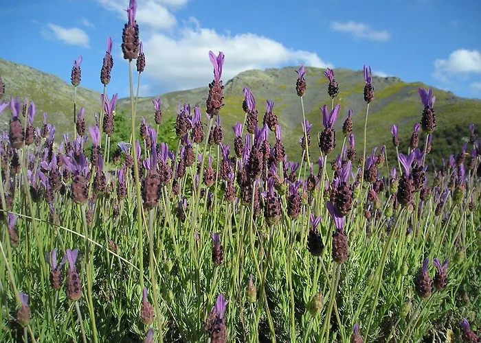 El Tormal منزل ريفي